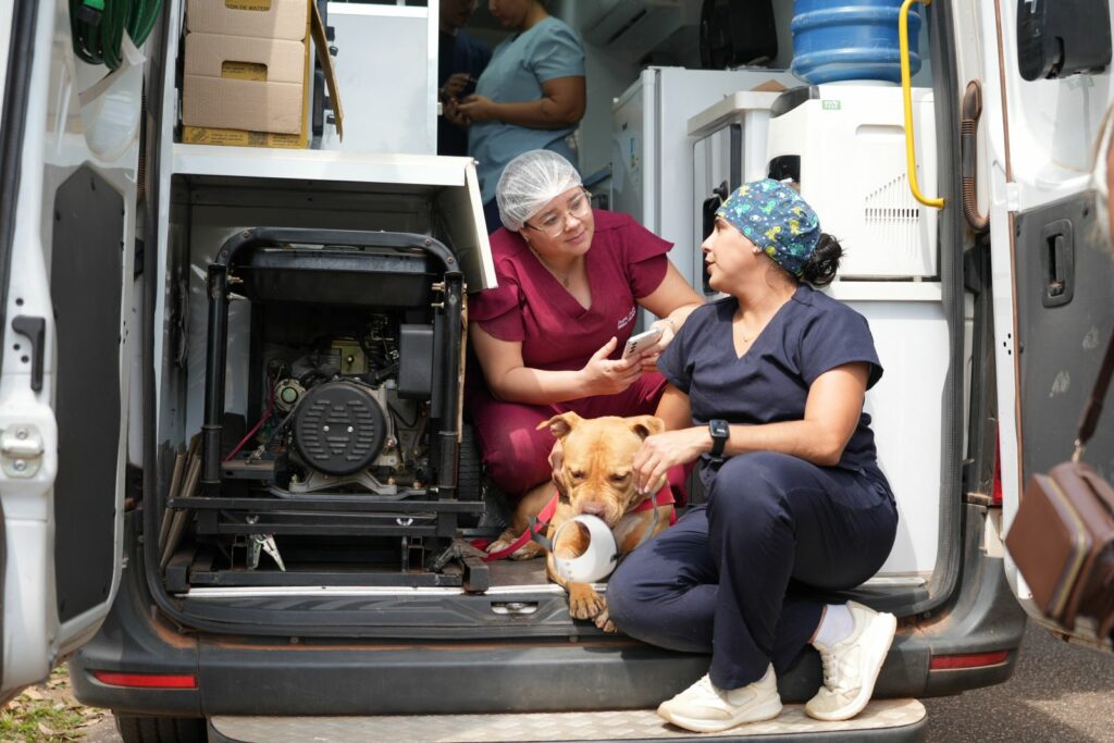Porto Velho promoveu ação de exames e pré-operatórios para castração de cães e gatos no Parque Circuito