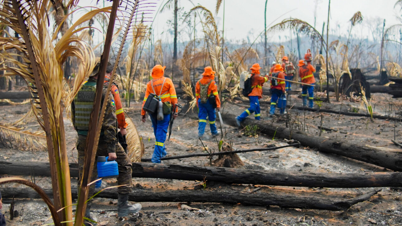 Rondônia alcança redução histórica nas queimadas e lidera ranking naciona