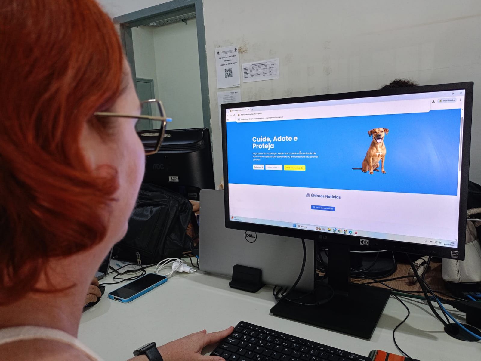 Plataforma incentiva a adoção responsável, bem-estar e saúde dos pets