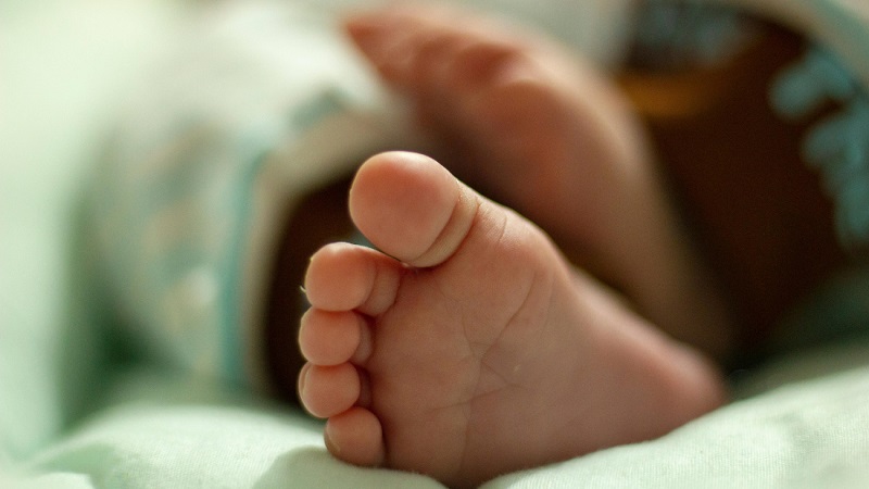 Defender a vida sempre: CNBB manifesta preocupação com decisões judiciais sobre o aborto