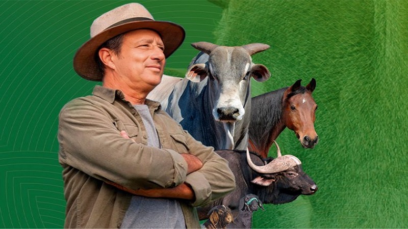 O período de declaração de rebanhos começou dia 1º, em Rondônia