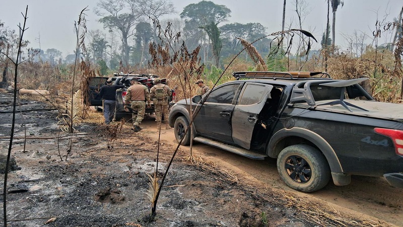 PF deflagra operação contra grilagem e incêndio criminoso em terra indígena em Rondônia