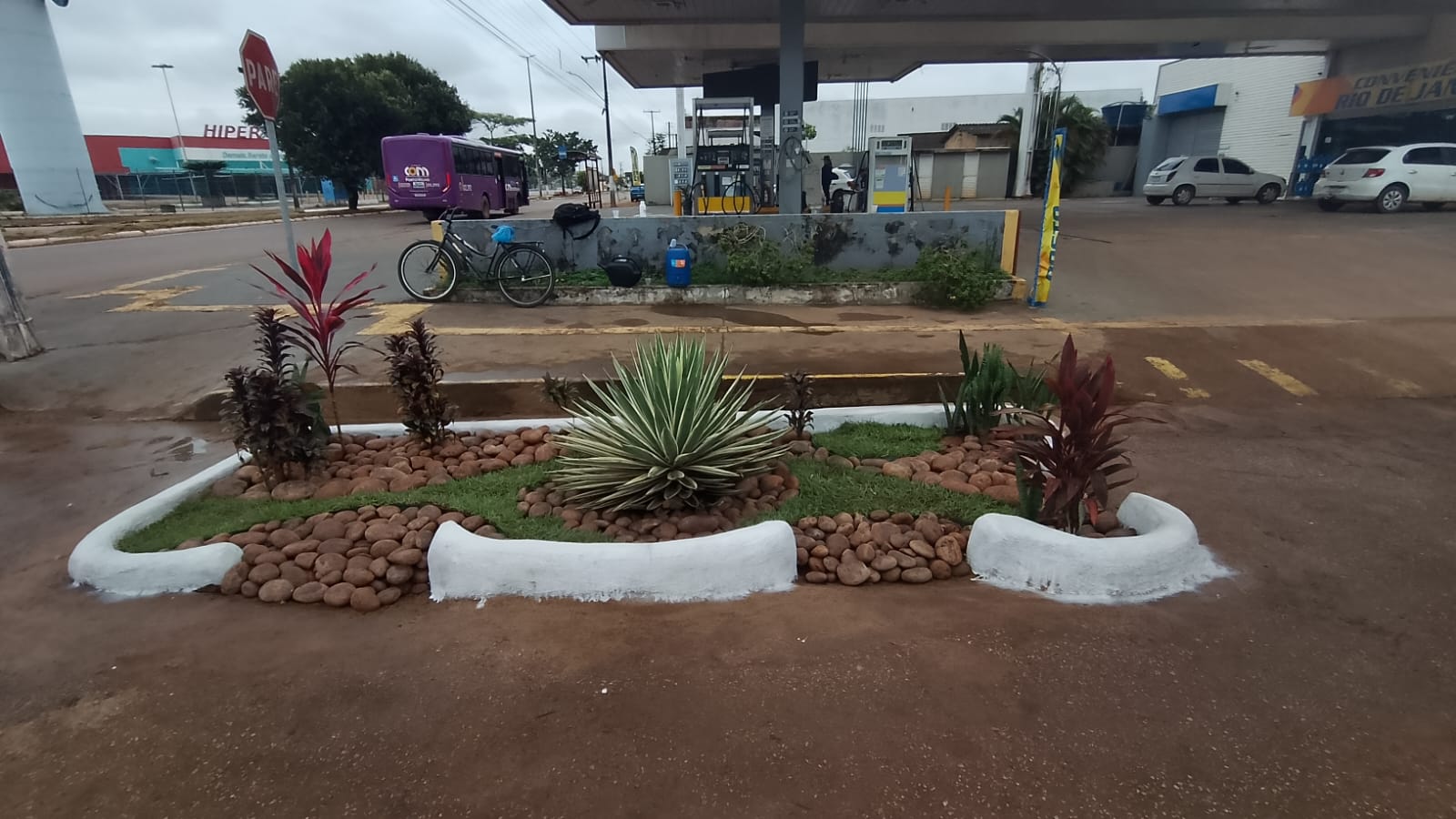 Jardins de chuva ajudam a reduzir impactos das chuvas