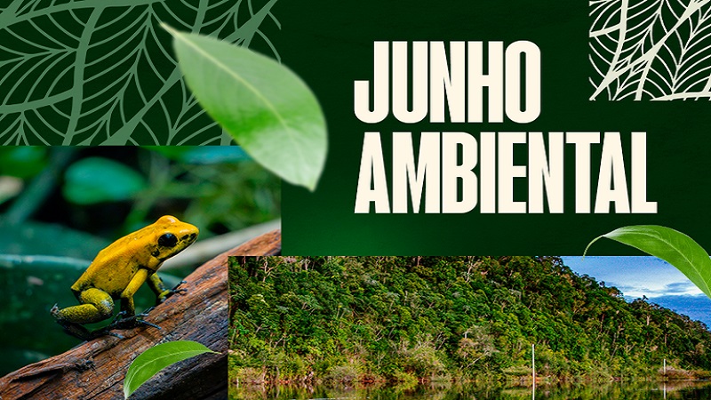 MPF aciona estado de Rondônia e ANM para que suspendam licenças e títulos de garimpos que utilizem mercúrio